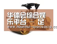 华体会娱乐APP第二系列