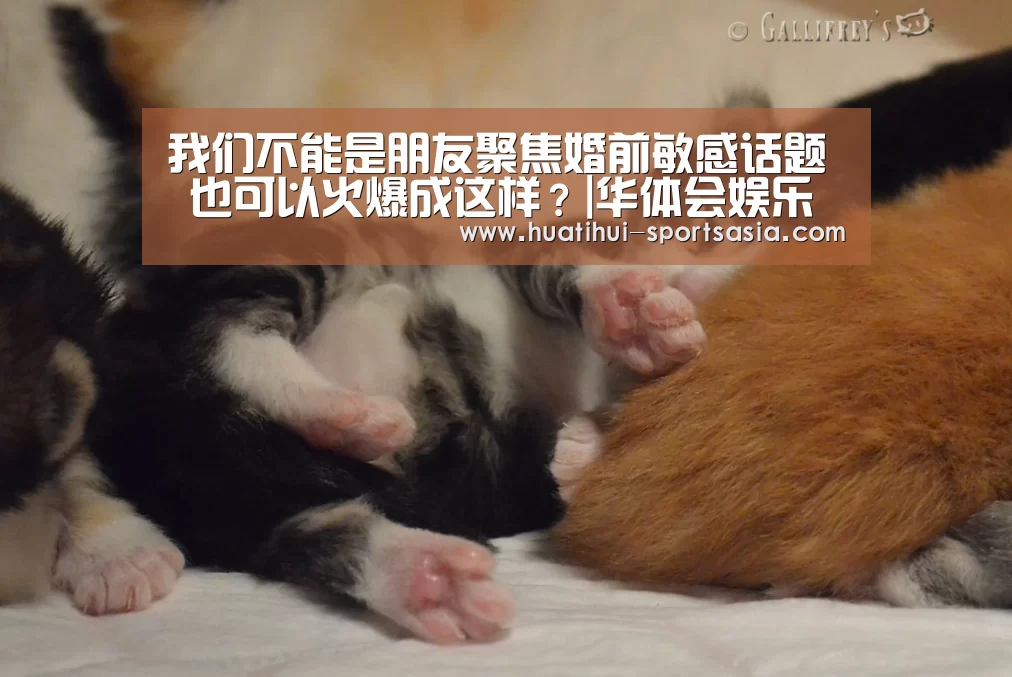 华体会真人娱乐中心