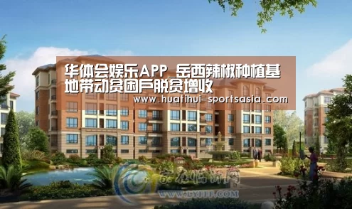 华体会娱乐APP_岳西辣椒种植基地带动贫困户脱贫增收(图1) 华体会娱乐APP