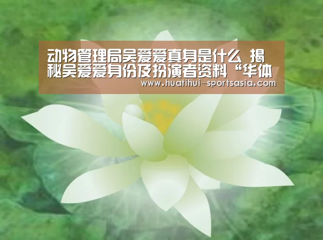 华体会娱乐APP