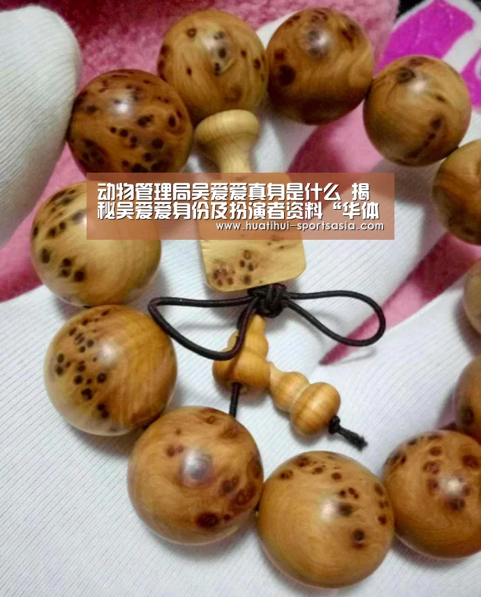 华体会娱乐APP