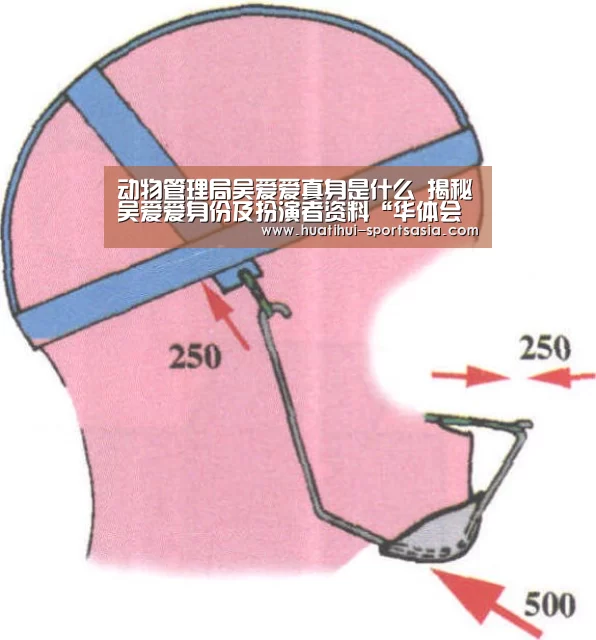 华体会真人娱乐中心