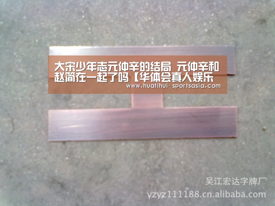 大宋少年志元仲辛的结局 元仲辛和赵简在一起了吗【华体会真人娱乐中心】(图3) 华体会在线娱乐
